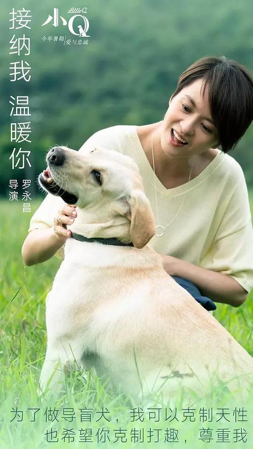 学历证书电子注册备案表哪里可以做假的